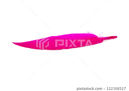 Pink feather isolated on the white background 122108527
