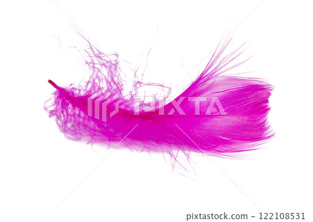 Pink feather isolated on the white background Pink feather isolated on the white background 122108531