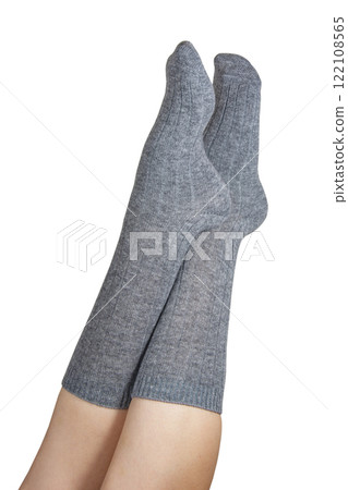Gray warm high socks on woman legs elegant isolated on the white background Gray warm high socks on woman legs elegant isolated on the white background 122108565
