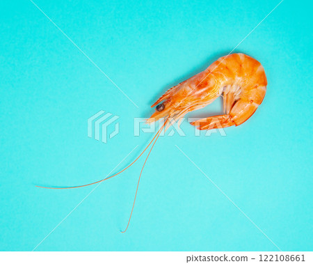 Sea shrimp fresh on blue background Sea shrimp fresh on blue background 122108661