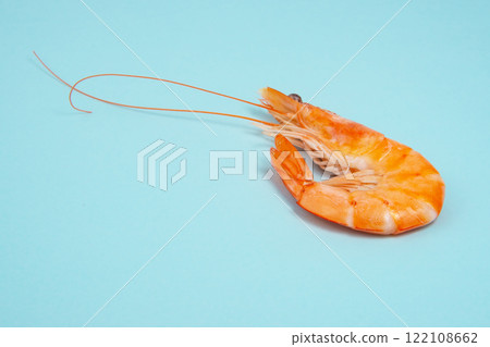 Sea shrimp fresh on blue background 122108662