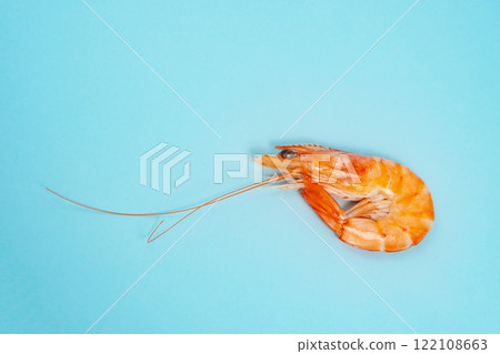Sea shrimp fresh on blue background Sea shrimp fresh on blue background 122108663