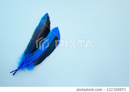 Blue feather on one color background copy space for text Blue feather on one color background copy space for text 122108971