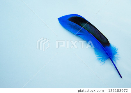 Blue feather on one color background copy space for text 122108972