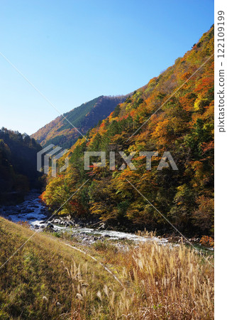 國道257號線香瀨大橋（岐阜縣下呂市馬瀨川）的紅葉 122109199