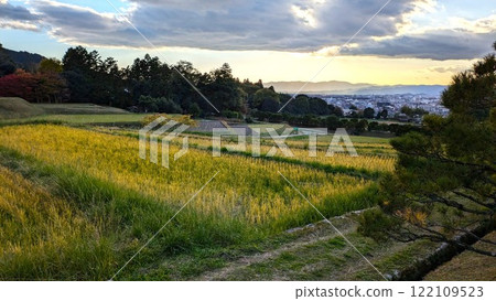 Autumn evening in the rice fields of Shugakuin Imperial Villa Autumn evening in the rice fields of Shugakuin Imperial Villa 122109523