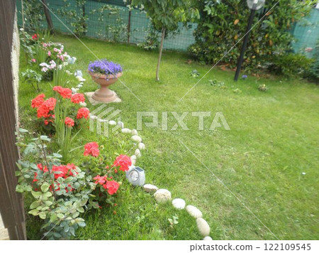 first flowers on the lawn near the house 122109545