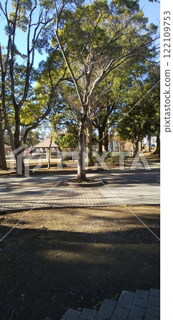 Teganuma Park in winter 122109753