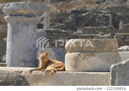 Greek Cat Greek Cat 122109816