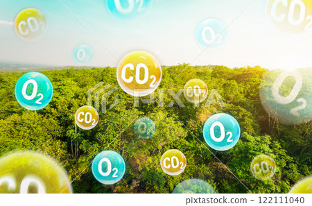 Tree canopy against a sky background with oxygen O2 and carbon dioxide CO2 molecules. Carbon dioxide absorption and oxygen release concept. Concept of carbon dioxide emissions and its impact on nature 122111040