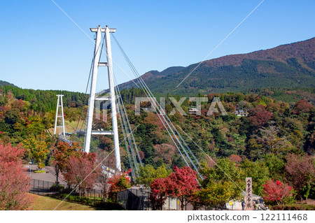 Kokonoe "Dream" Suspension Bridge and Autumn Leaves Kokonoe "Dream" Suspension Bridge and Autumn Leaves 122111468