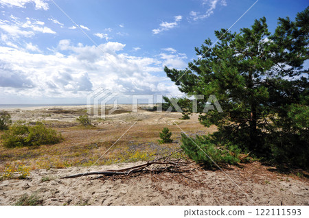 view of the Curonian Spit 122111593