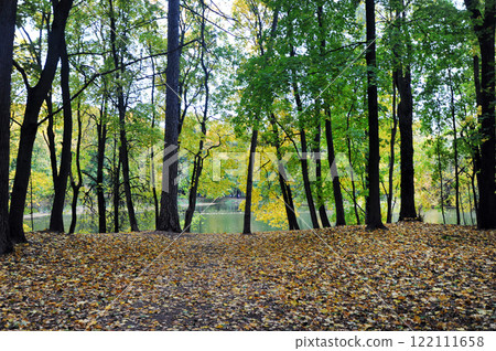 autumn park in the Bykovo estate 122111658
