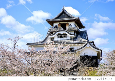 Inuyama City, National Treasure Inuyama Castle and cherry blossoms in full bloom 122113027