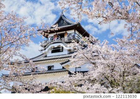 犬山市、國寶犬山城和盛開的櫻花 犬山市、國寶犬山城和盛開的櫻花 122113030