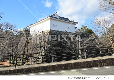Kameyama Castle southeast corner stone wall and Tamon Tower 122113070