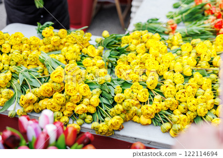 Close-up fresh yellow Dutch Pomponette tulip bouquets vibrant street flower market sale. Lot multicolored tulips bouquets. Floral blooming wholesale retail plant store. Florist service Close-up fresh yellow Dutch Pomponette tulip bouquets vibrant street flower market sale. Lot multicolored tulips bouquets. Floral blooming wholesale retail plant store. Florist service 122114694