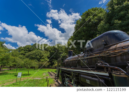 小金井公園 晴朗的藍天和綠色的風景（2023年夏季）-26 122115199