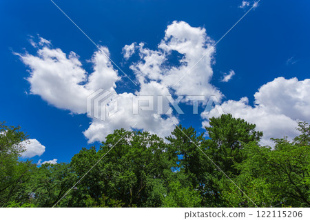 Koganei Park: Clear blue skies and green scenery (Summer 2023)-19 Koganei Park: Clear blue skies and green scenery (Summer 2023)-19 122115206