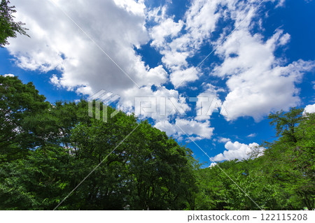 Koganei Park: Clear blue skies and green scenery (Summer 2023)-17 122115208