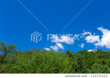 Koganei Park: Clear blue skies and green scenery (Summer 2023)-3 Koganei Park: Clear blue skies and green scenery (Summer 2023)-3 122115223