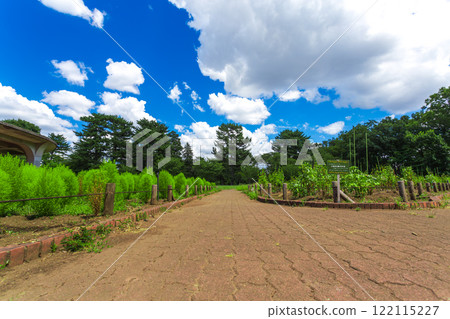 Koganei Park: Clear blue skies and green scenery (Summer 2023)-41 122115227