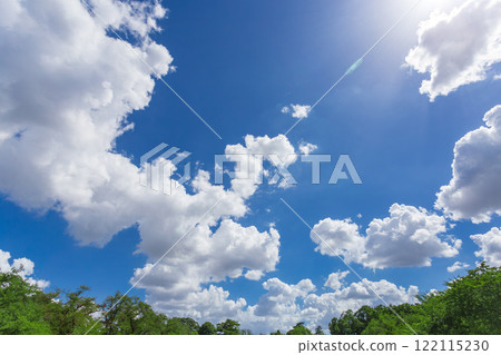 Koganei Park: Clear blue skies and green scenery (Summer 2023)-38 Koganei Park: Clear blue skies and green scenery (Summer 2023)-38 122115230