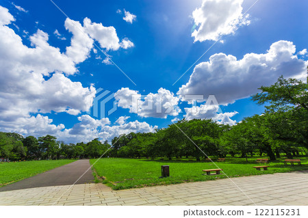 Koganei Park: Clear blue skies and green scenery (Summer 2023)-37 Koganei Park: Clear blue skies and green scenery (Summer 2023)-37 122115231