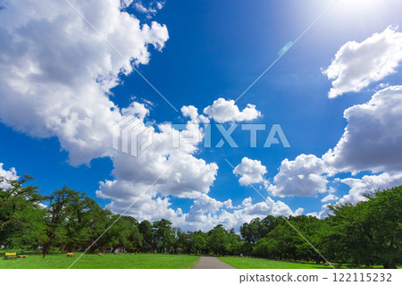 Koganei Park: Clear blue skies and green scenery (Summer 2023)-36 Koganei Park: Clear blue skies and green scenery (Summer 2023)-36 122115232