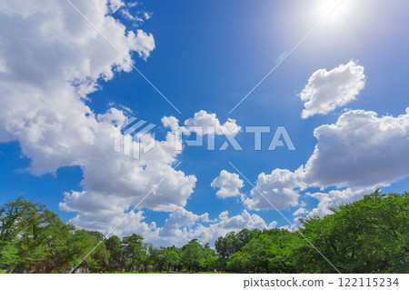 小金井公園 晴朗的藍天和綠色的風景(2023年夏季)-34 小金井公園 晴朗的藍天和綠色的風景(2023年夏季)-34 122115234