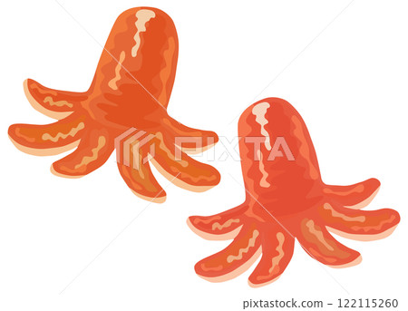 Octopus Wiener illustration vector material 122115260