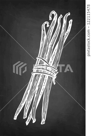 Bundle of vanilla pods chalk sketch. Bundle of vanilla pods chalk sketch. 122115478