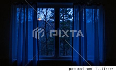 Evening light filters through sheer curtains, casting a blue hue in a serene room with views of trees 122115756