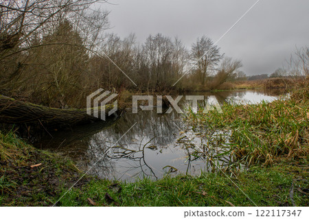 A peaceful river during fall colors with beautiful reflections in the water, Scania county, Sweden A peaceful river during fall colors with beautiful reflections in the water, Scania county, Sweden 122117347