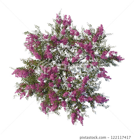 tree top view plant landscape architecture nature garden aerial render. trees branch isolate collection illustration environment green botany urban bush park. tree architecture conifer decorative. 122117417