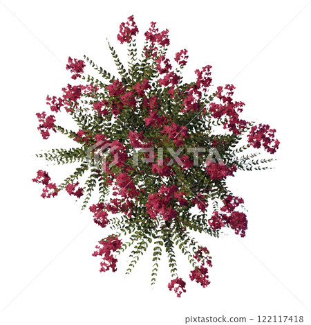 tree top view plant landscape architecture nature garden aerial render. trees branch isolate collection illustration environment green botany urban bush park. tree architecture conifer decorative. 122117418