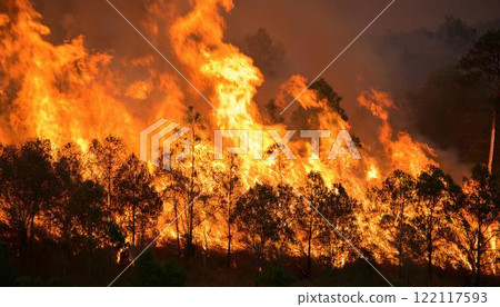 Spreading wildfires and natural disasters 3 122117593