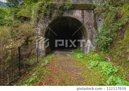 Scenery of the Mystery Tunnel around Apt Ichishiro Station in autumn in Kawane Town (Shizuoka Prefecture) Scenery of the Mystery Tunnel around Apt Ichishiro Station in autumn in Kawane Town (Shizuoka Prefecture) 122117639