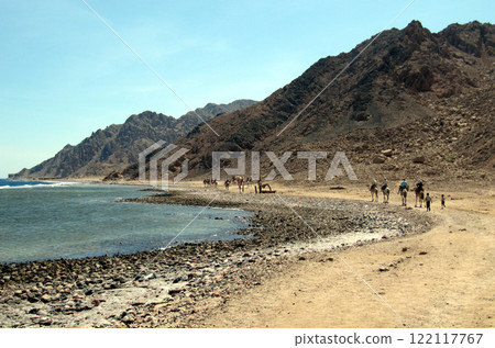 On the shores of the Red Sea in Sinai, a group of people on camels. Blue and blue sea water and blue clear sky. 122117767