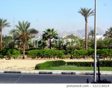 Exploring the Vibrant Cityscape and Lush Greenery of Sharm El Sheikh on a Sunny Day 122118024