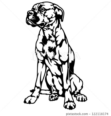 Boxer Dog Breed - Pet Vector Cut file, Dog Silhouette Stencil - Cricut file 122118174