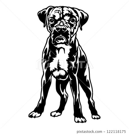 Boxer Dog Breed - Pet Vector Cut file, Dog Silhouette Stencil - Cricut file 122118175