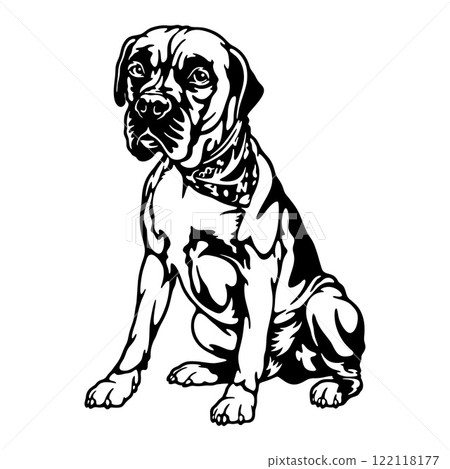 Boxer Dog Breed - Pet Vector Cut file, Dog Silhouette Stencil - Cricut file 122118177