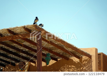 Birds Perched on a Thatched Roof of a Tropical Canopy by the Seaside Under a Blue Sky 122118479