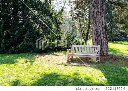 A wooden bench bathed in the bright sunlight under the branches of a tree in early spring, Kew Gardens, on the outskirts of London A wooden bench bathed in the bright sunlight under the branches of a tree in early spring, Kew Gardens, on the outskirts of London 122118624