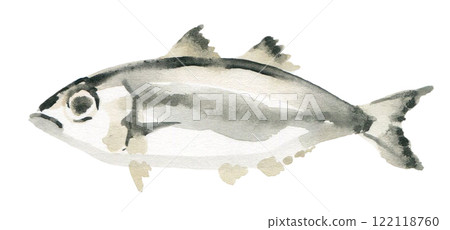 竹莢魚面向左 竹莢魚面向左 122118760