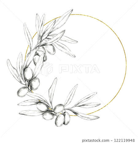Olive branch pencil drawing clipart. Circular frame adorned with detailed olive fruits and leaves, highlighted by a subtle golden line. Ideal for invitation designs, branding, and packaging artwork 122119948