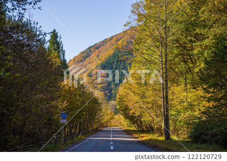國道257號沿線的紅葉（岐阜縣清美町） 122120729