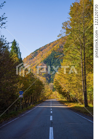 國道257號沿線的紅葉（岐阜縣清美町） 122120730