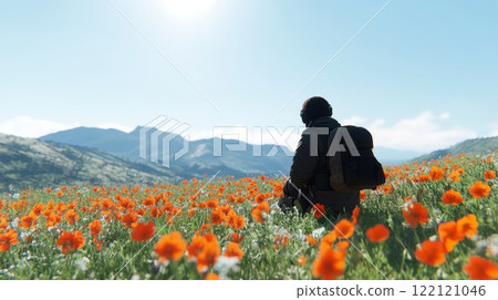 Silhouette of a tourist in a field of beautiful red densely growing flowers 122121046